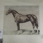 586 8040 Färgetsning